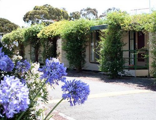 West City Motel Ardeer Exterior foto