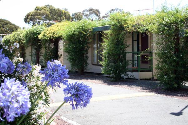 West City Motel Ardeer Exterior foto